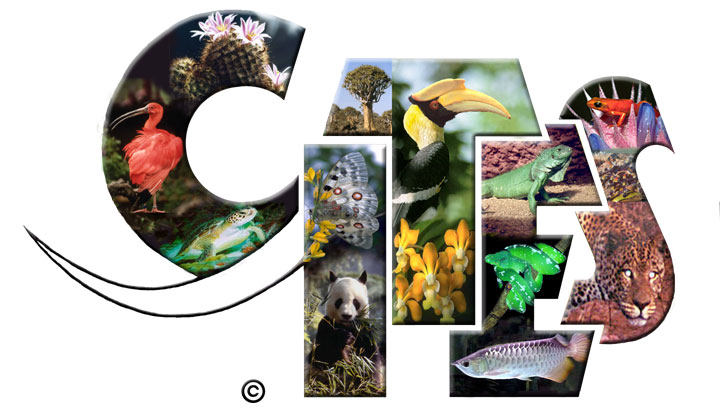 CITES Appendix I Cacti: The Complete 2026 Guide