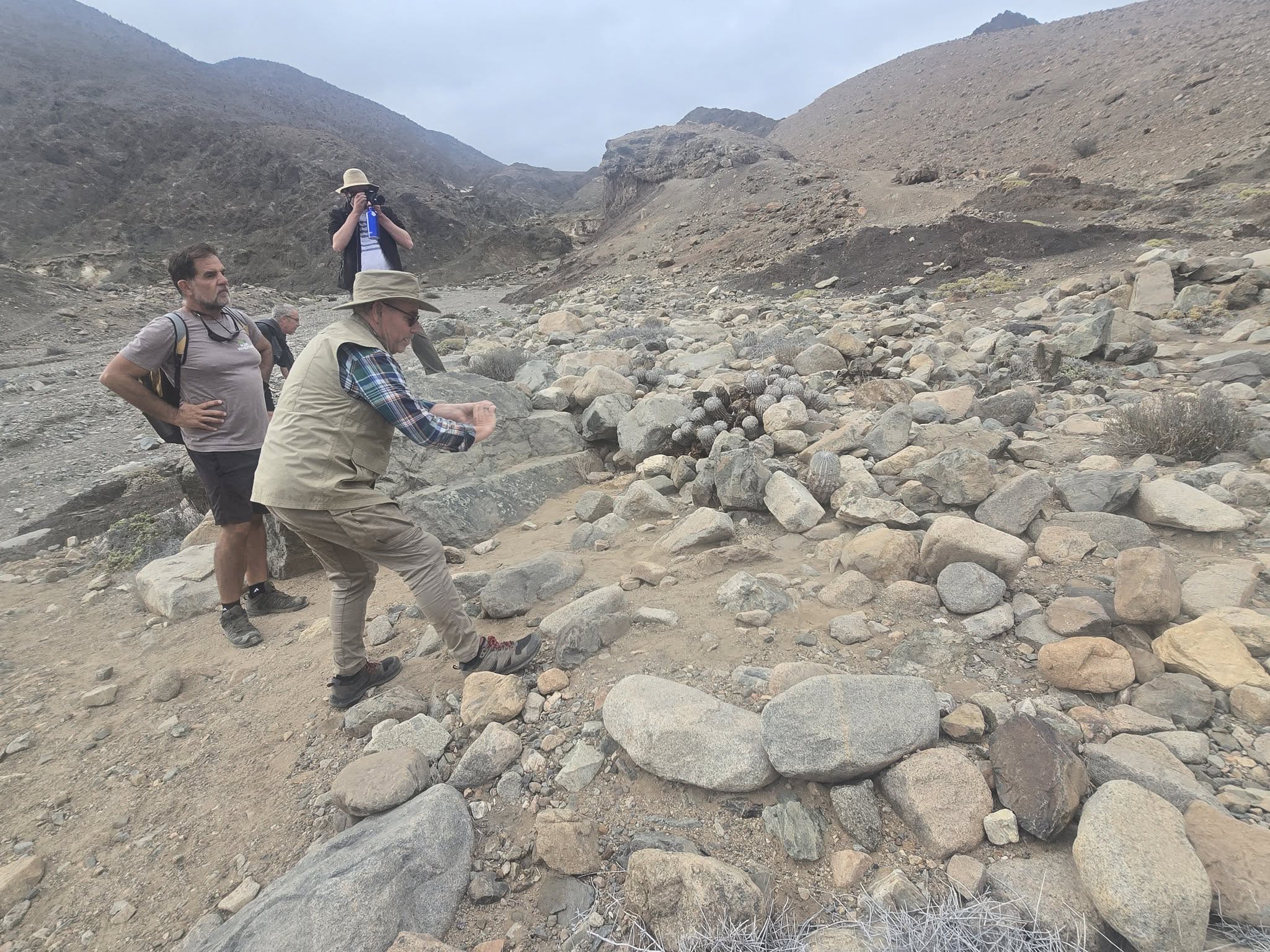 Cactus Taxonomy: How Habitat Photography Reclassified Species