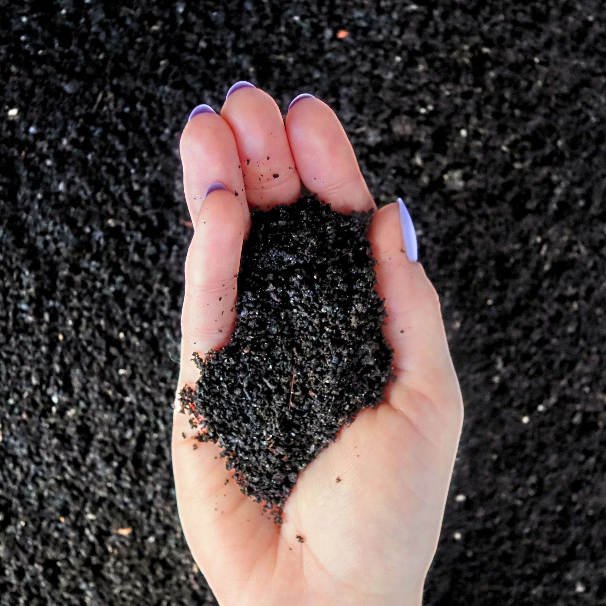 Worm castings vermicompost in a bag, the organic 10% of the cactus soil mix
