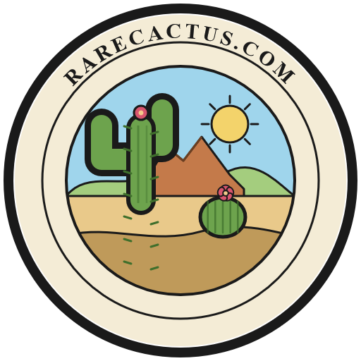 Rare Cactus badge