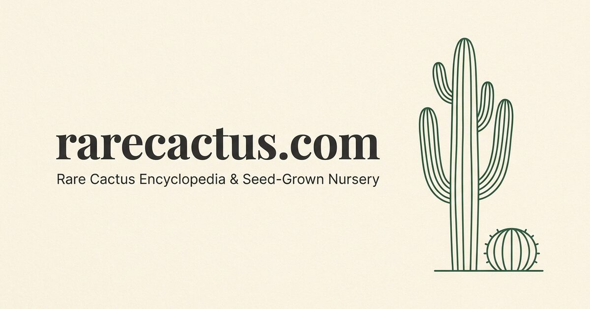Rare Cactus share card